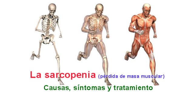 Perdida de masa muscular en adultos