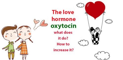 What is oxytocin, what does it do? How to increase the love hormone?