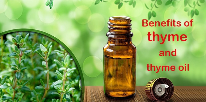 health benefits of thyme seasoning