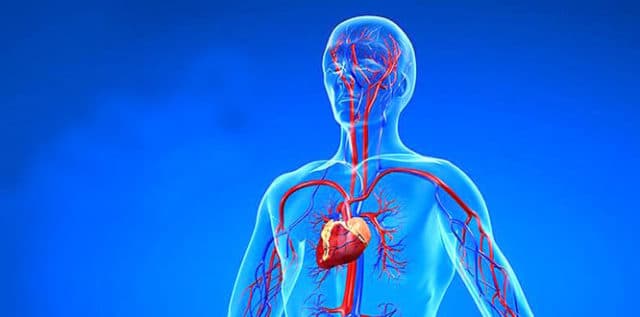 angiography-angiogram-preparation-procedure-results-and-risks