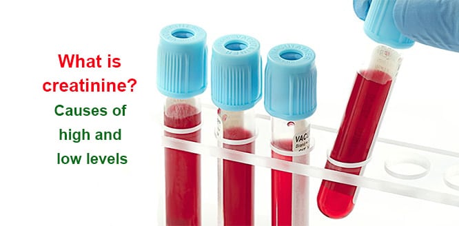 normal results for creatinine istat test